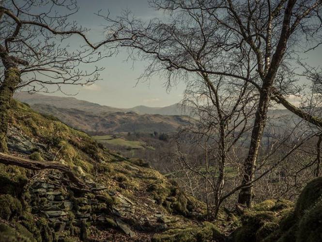 Image for Cathedral Cave blog post