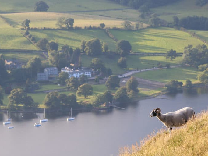 Image for Zoom virtual backgrounds blog post