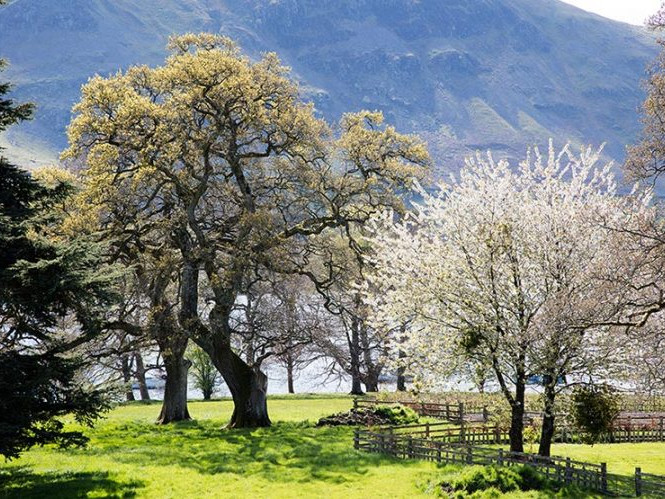 Image for The garden at Another Place blog post