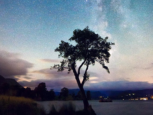 Image for The Lyrid Meteor Shower blog post