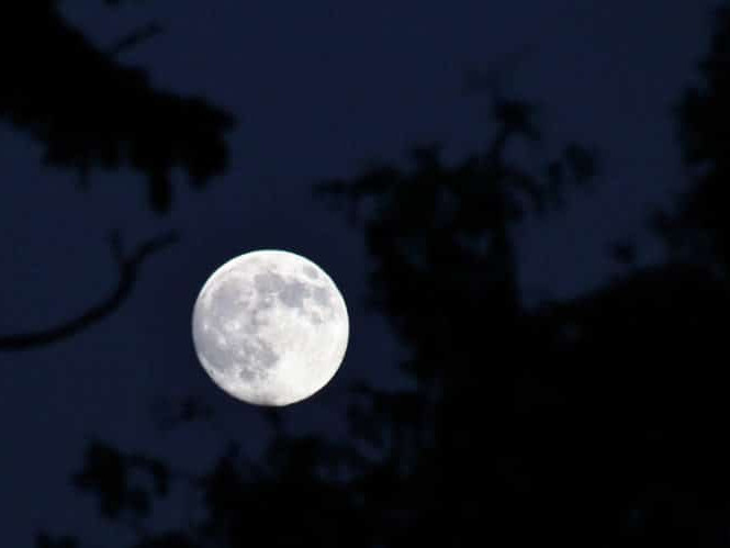 Image for Things to do in spring blog post