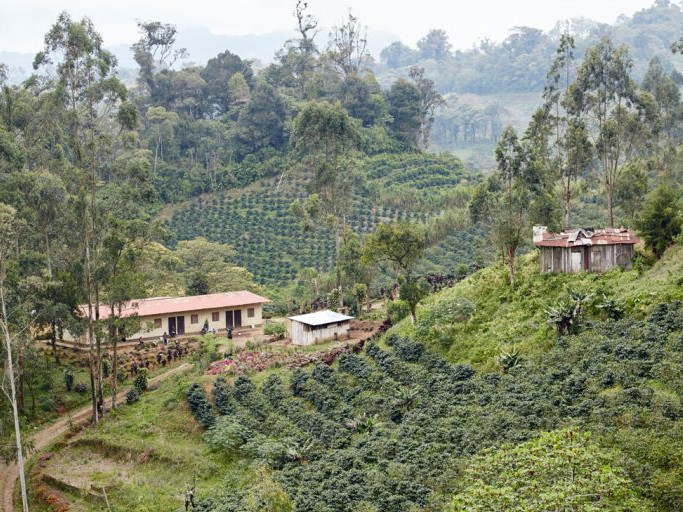 Image for Origin Coffee: People behind the bean blog post