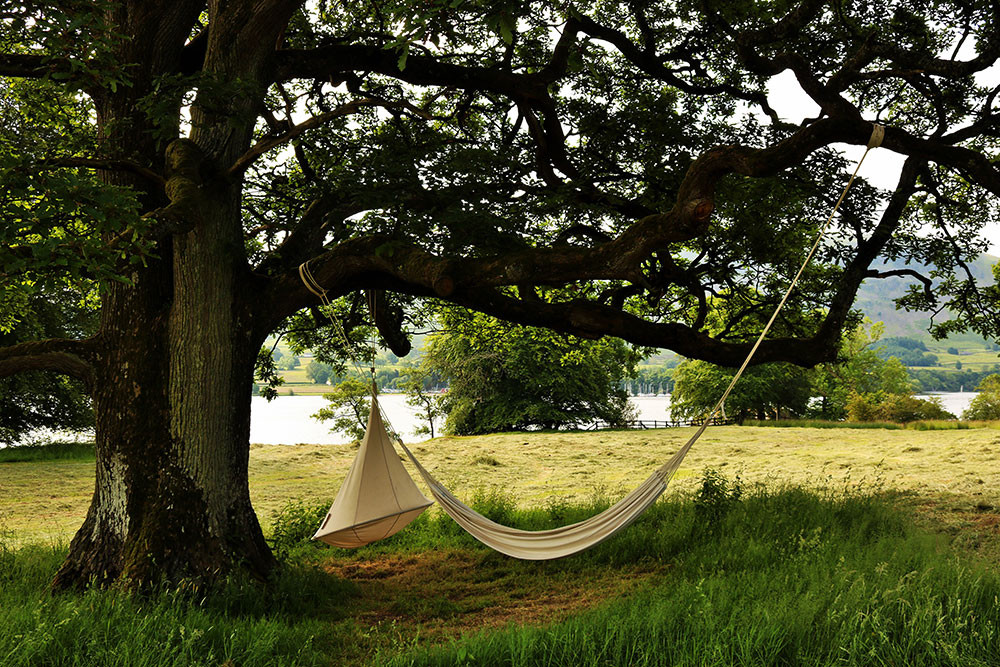 Tree hammock