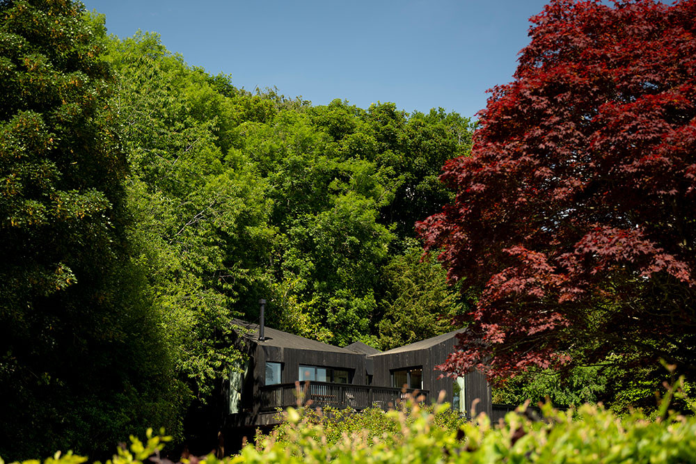Treehouse at another place