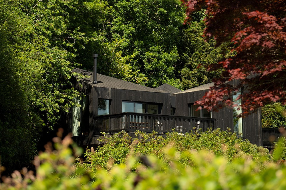 treehouse at another place