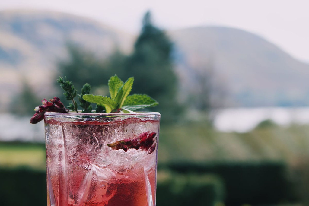 Flowering currant cordial 