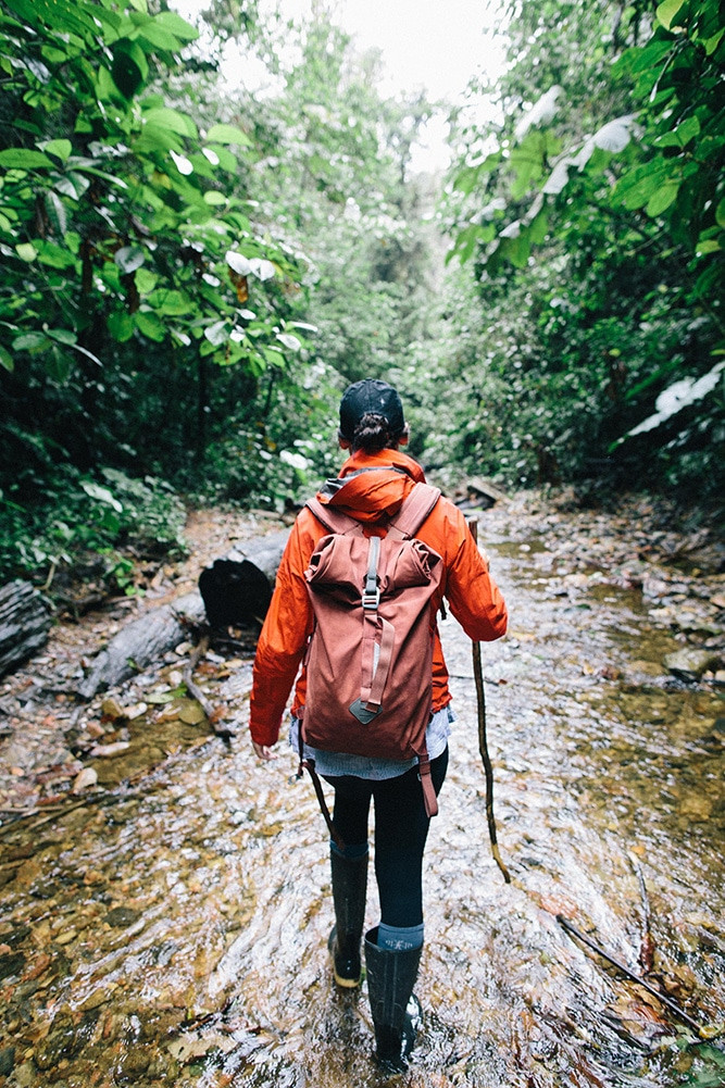 CloudForest Graeme Owsianski