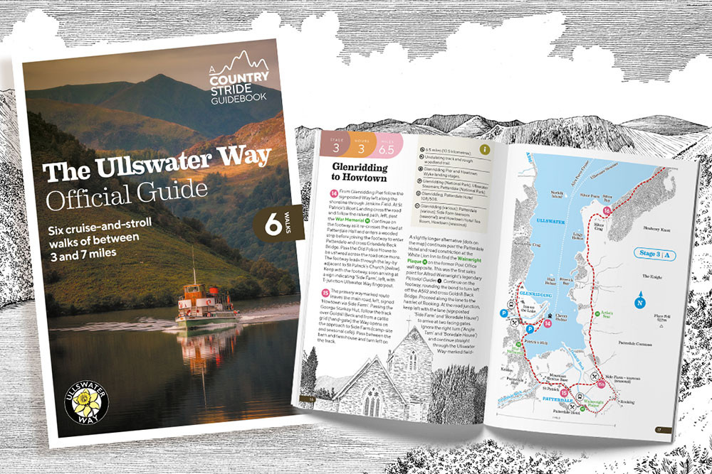 image  of books and magazines 