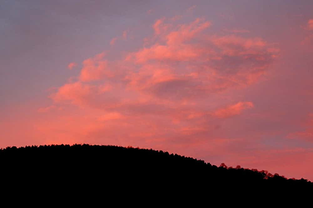 Sunrise cloudscape over treeline