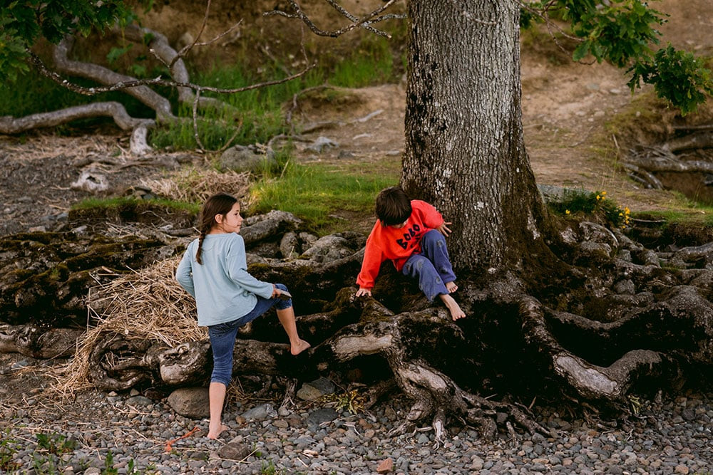 children playing in hotel grounds