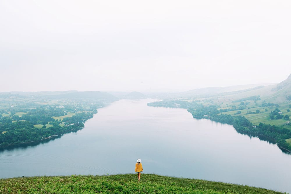 The blood Hayley Anderson 