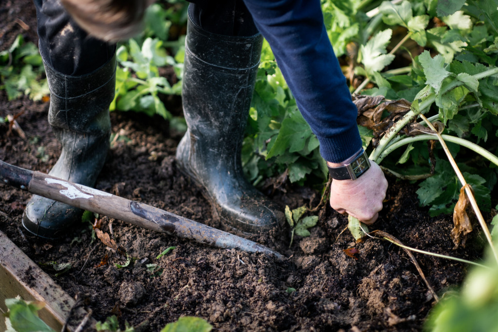 Veg patch work at Another Place