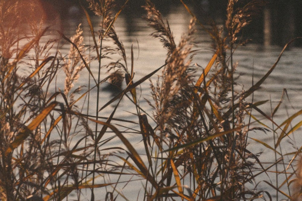 Joe minihane floating