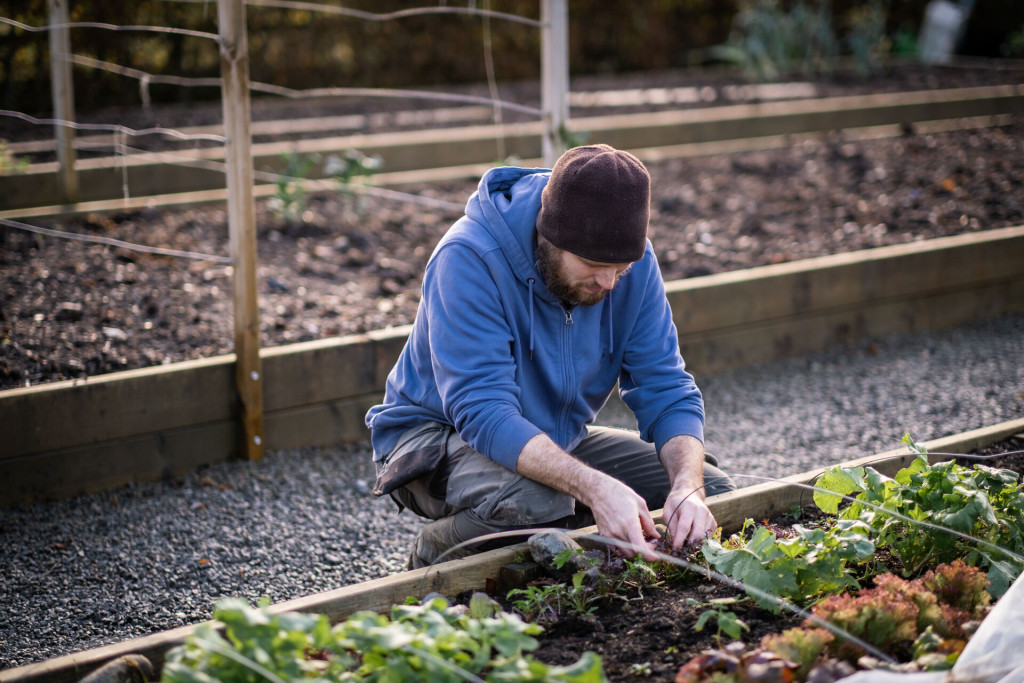 James working on the vegetable patch