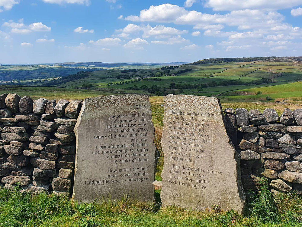 Stanza stone dew stone