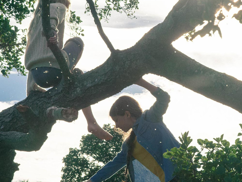 Another place the lake district children climbing
