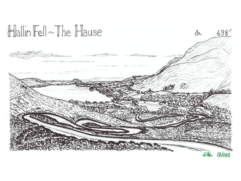 Hallin fell the house