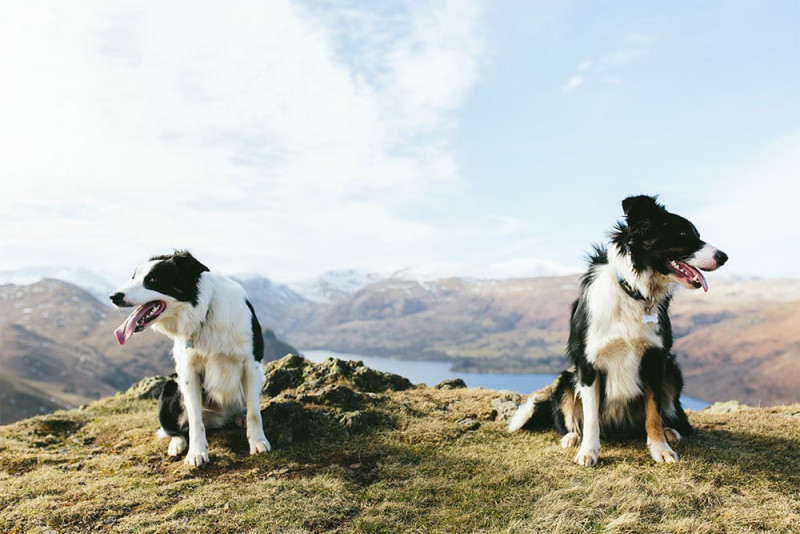 Nicodem creative another place Lake District hotels