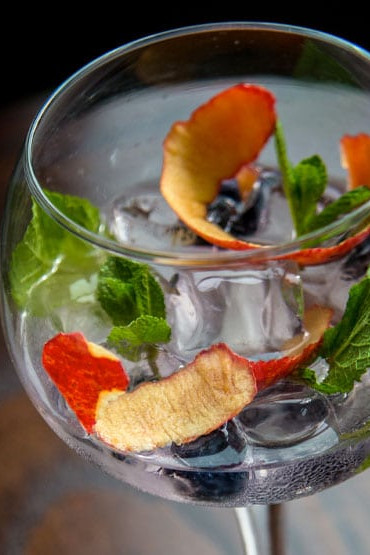 Caorunn gin and tonic