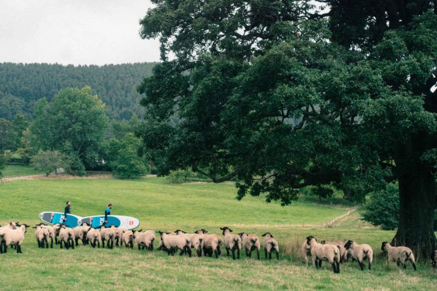 stand up paddle boarding lake district