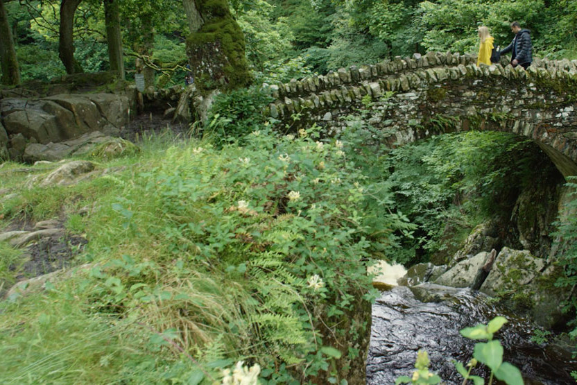 Walking near Aira Force