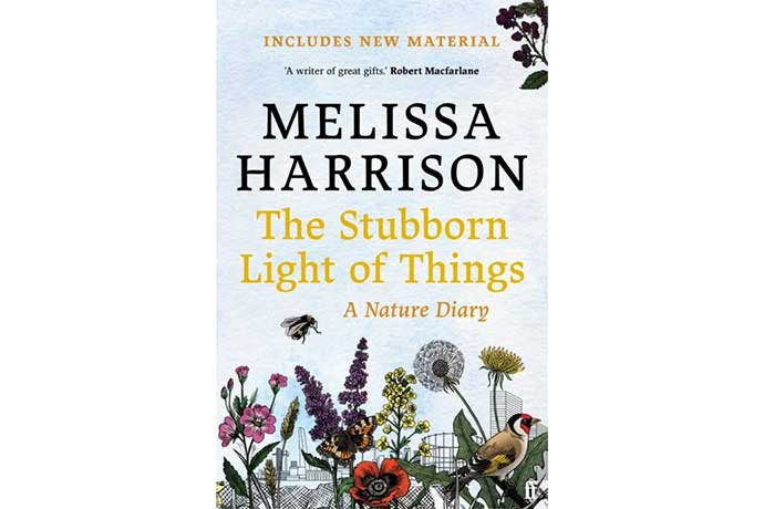 The Stubborn Light of Things