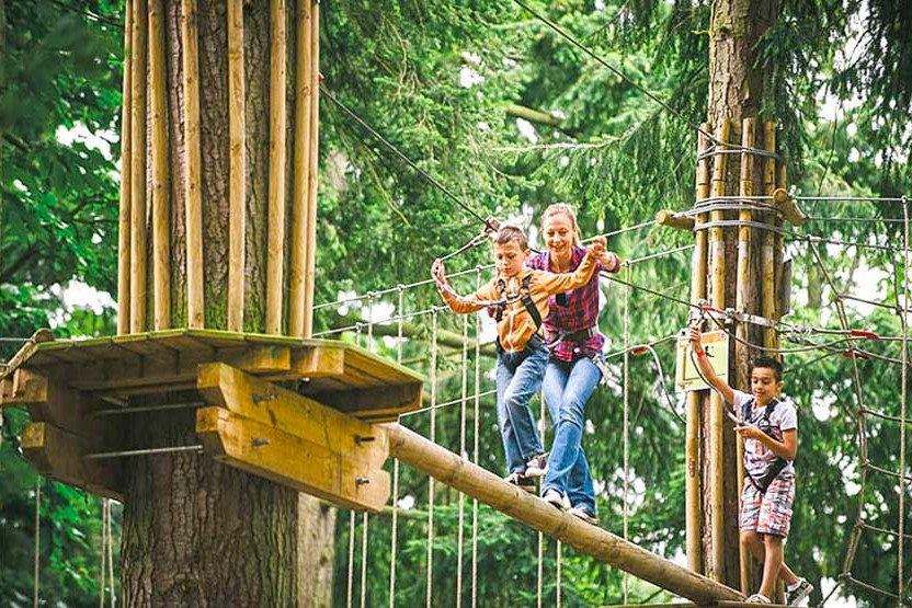 Go ape at Whinlatter Forest