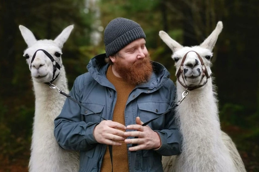 Alpacaly ever after…