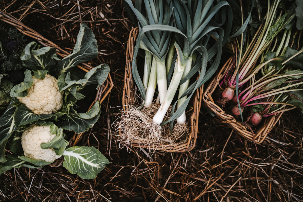 Fresh produce in baskets, harvested on Islay
