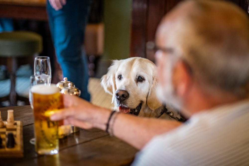 The Brackenrigg Inn - Dog