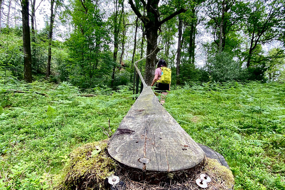 Wood sculpture with hiker near by