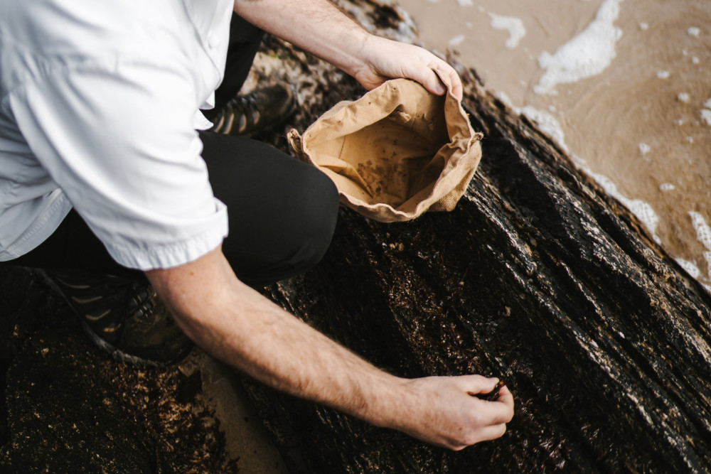 Machrie head chef Calum Hall foraging on Islay for 18 Restaurant and Bar