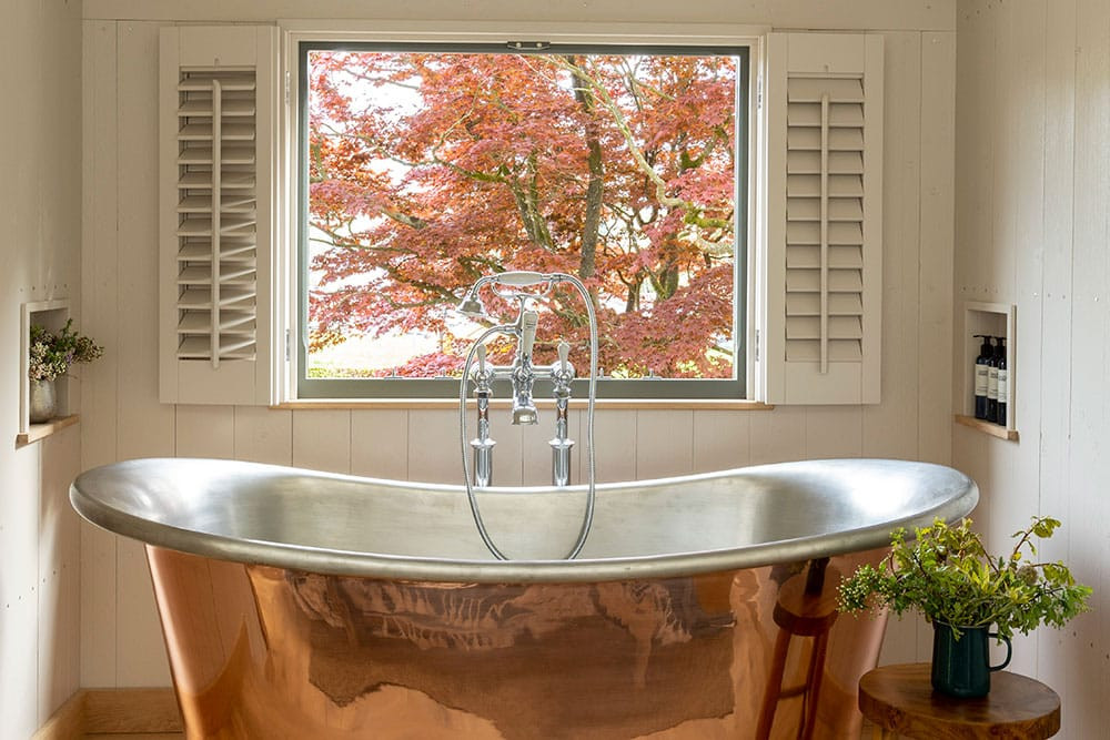 copperbath maple tree view