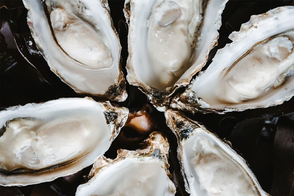 Islay oysters
