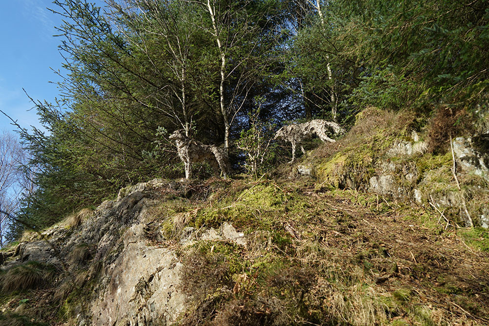 Wood wolf sculptures