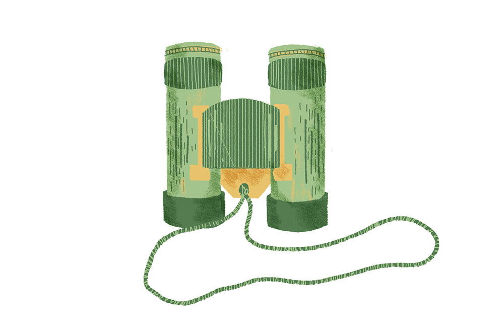 Geese flying above water