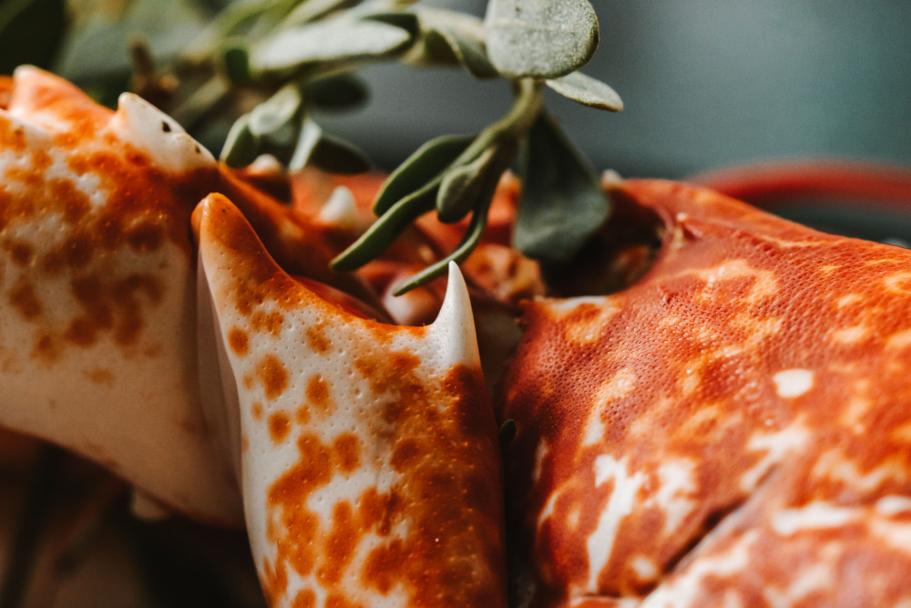 Lobster served at 18 Bar and restaurant at Another Place, The Machrie