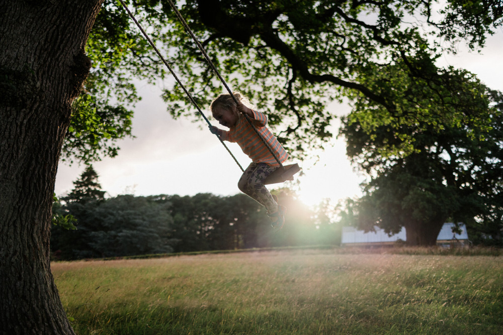 Swing under the oak tree at Another Place, The Lake