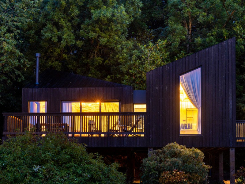 Image for Treehouse room post